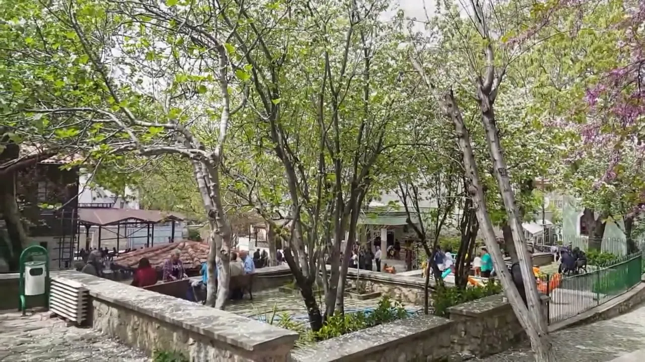 Dergâhın ağaçlı bahçesi
