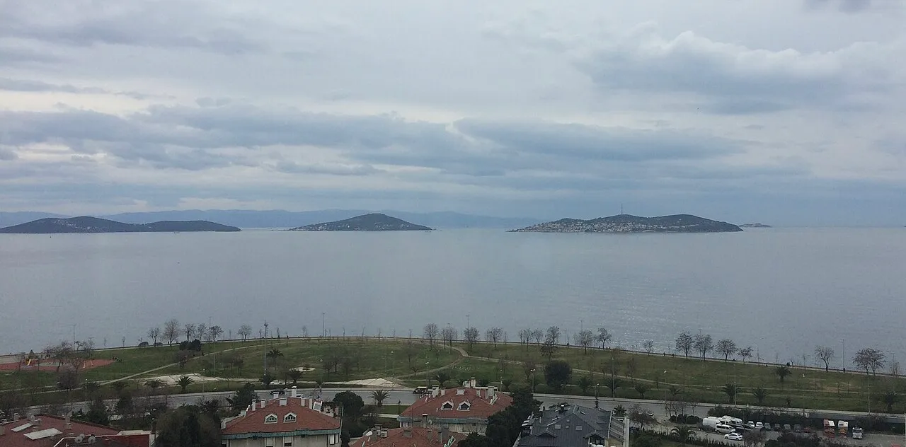 Suadiye’den Adalar’a bakış · Ocak 2019