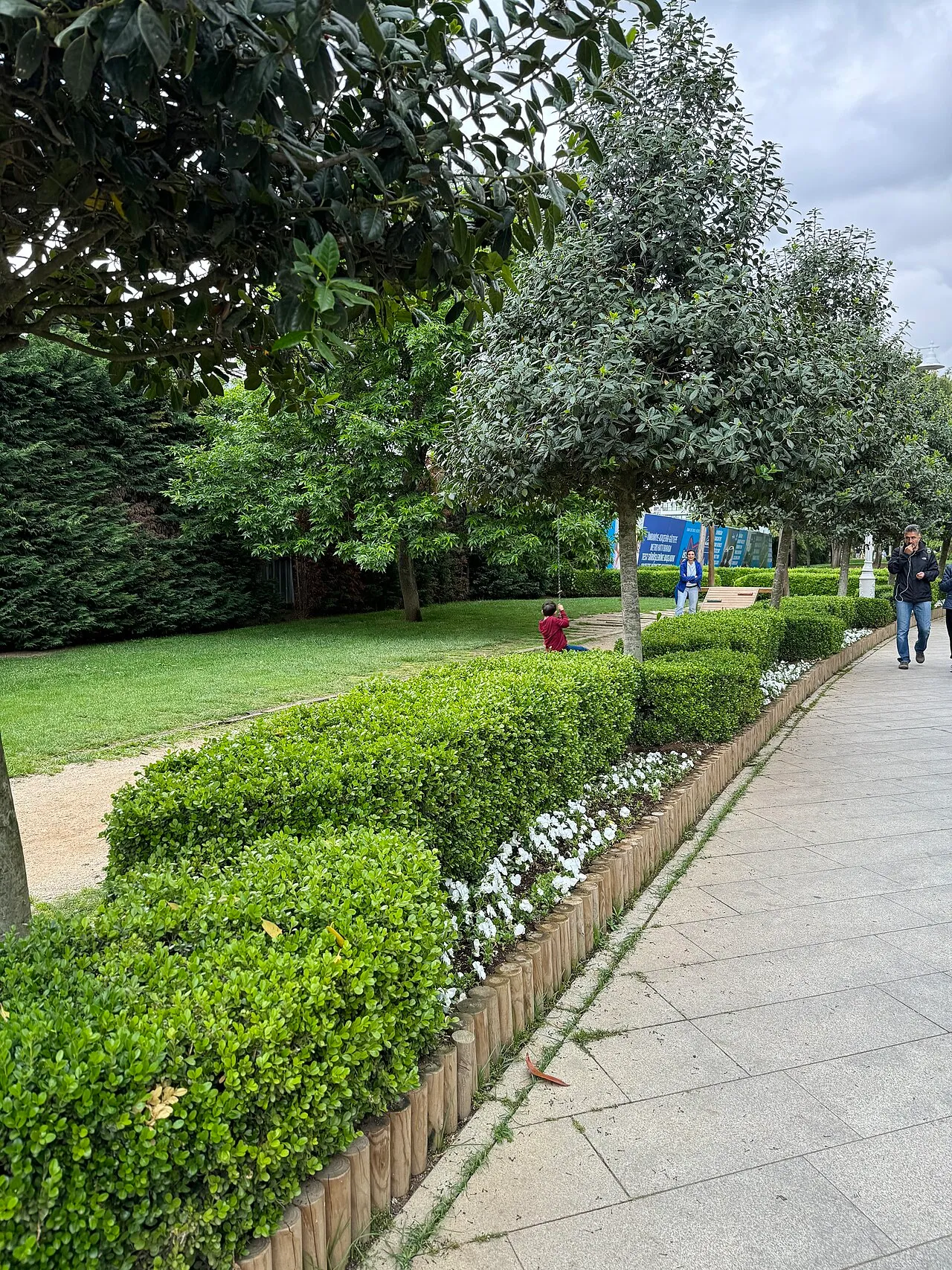 Ağaçların arasındaki yürüyüş yolu · Mayıs 2024