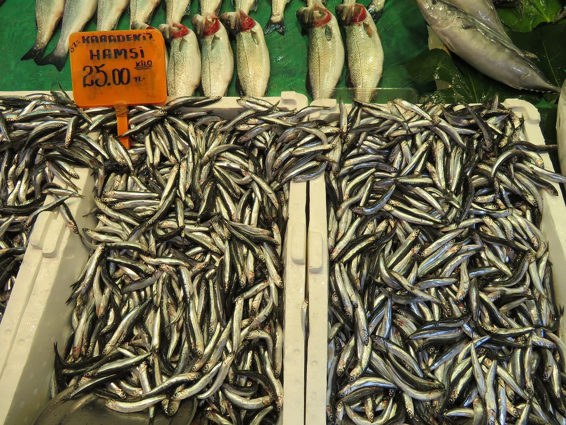Balıkçı tezgâhında hamsi, 2019