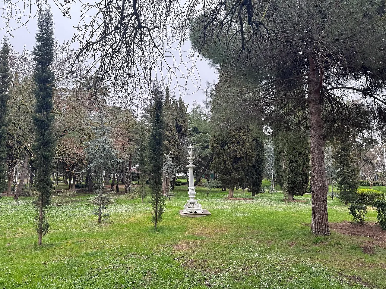 Parkın ağaçlı iç yolları · Mart 2026