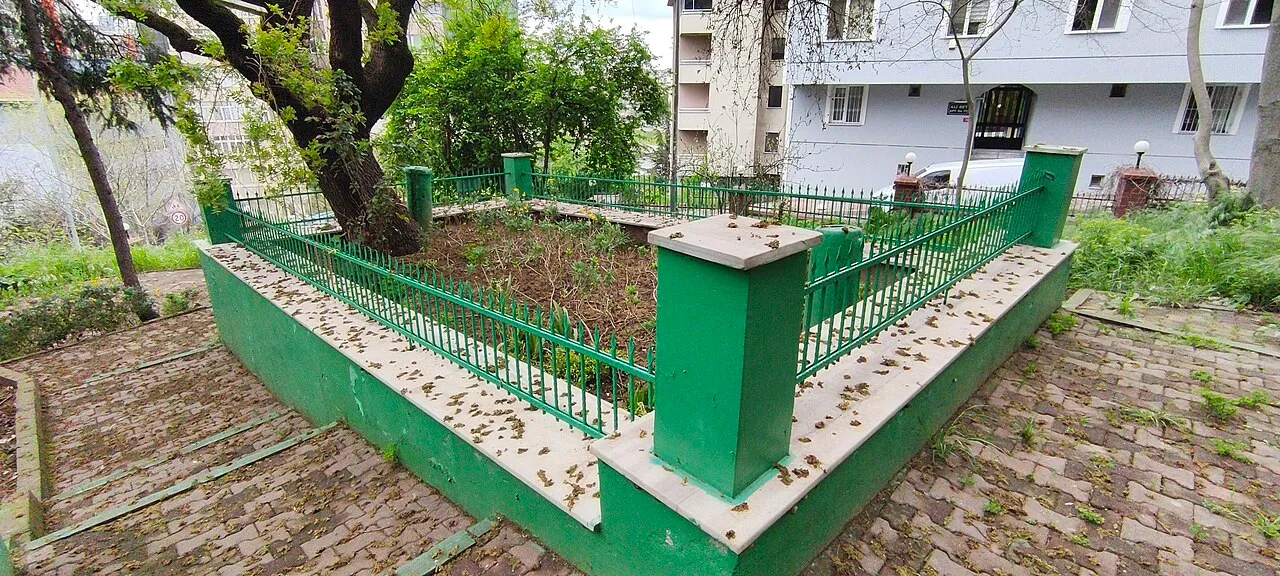 Buhur Baba çevresindeki hazire